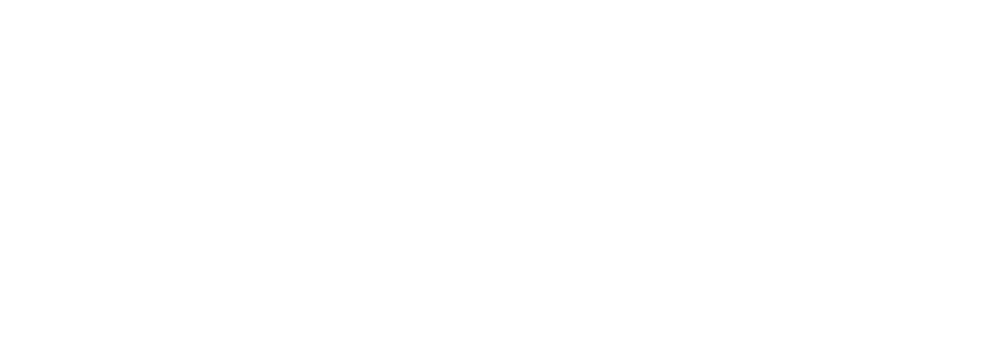 Janilink Logo